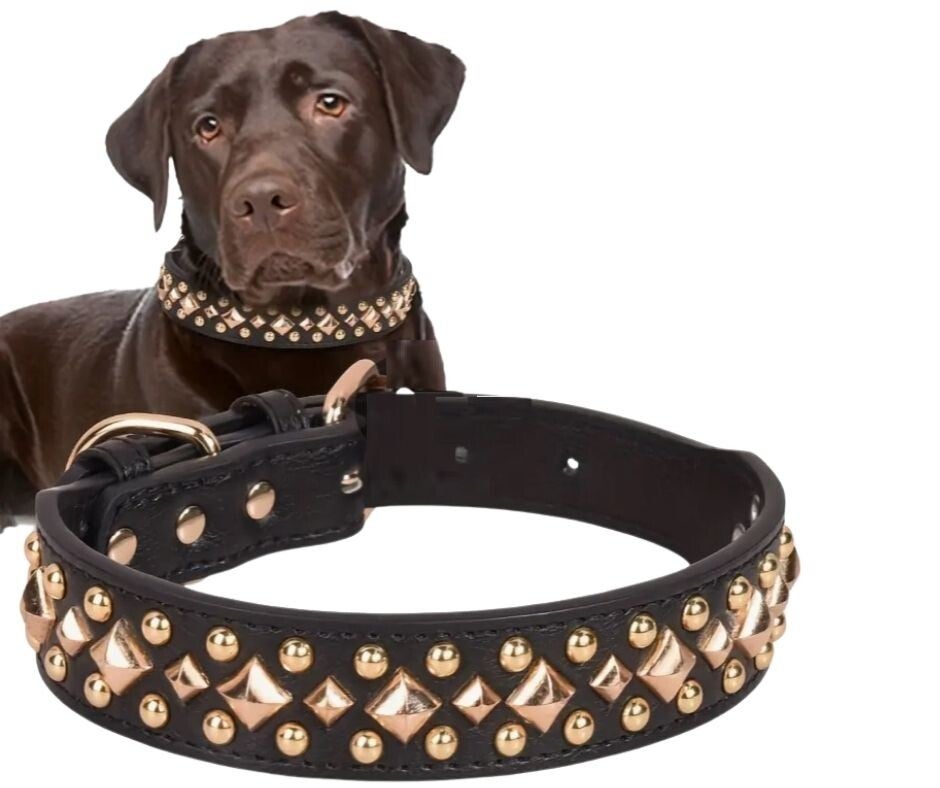 Collar Studs black