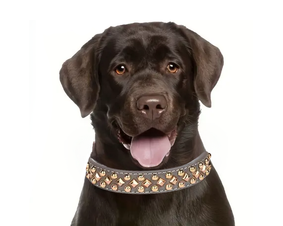 Halsband Studs grijs