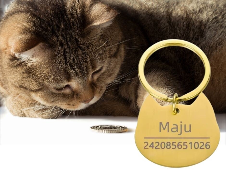 Stainless steel cat tag