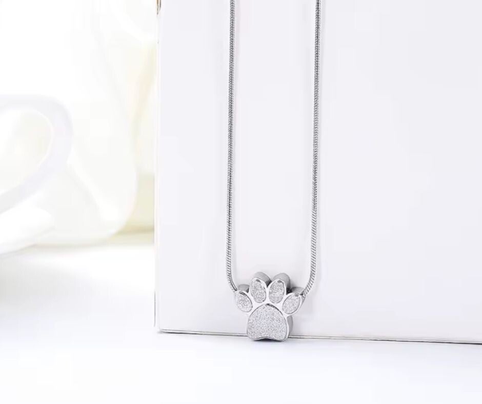 Ashanger Silver Spark☆