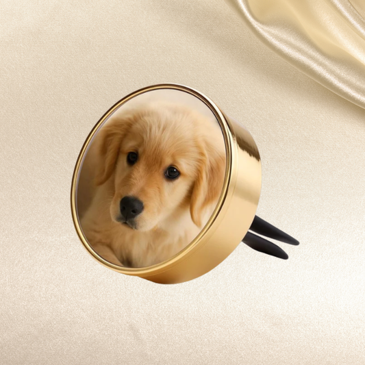 Autogeurtje met foto | Deluxe