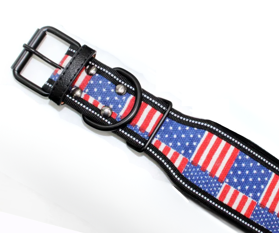 American Dream Halsband
