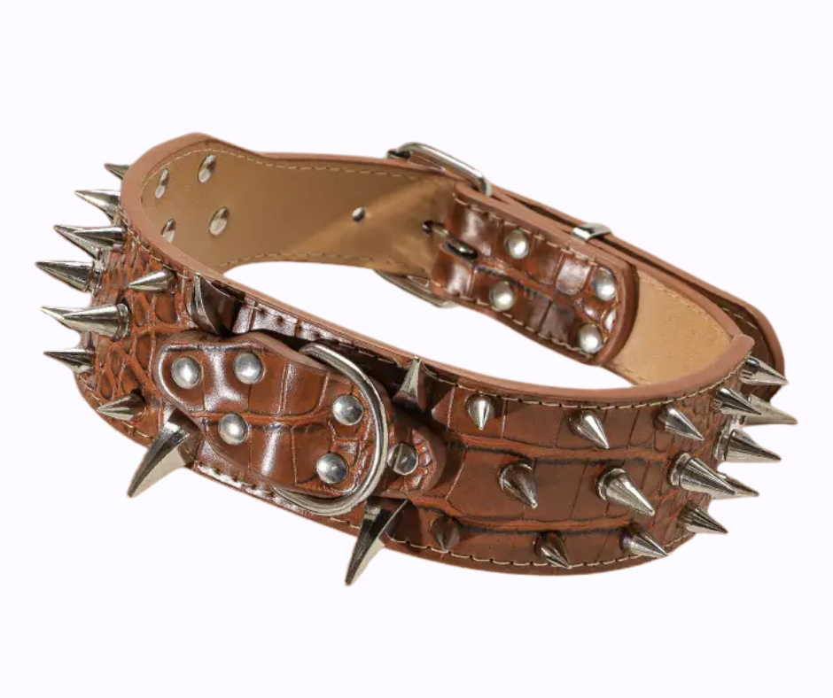 Fortuna Crocodile Halsband