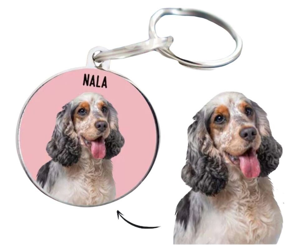 Sleutelhanger RVS rond