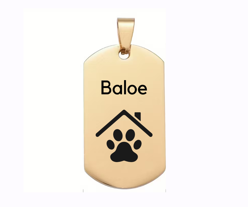 Dog tag with house