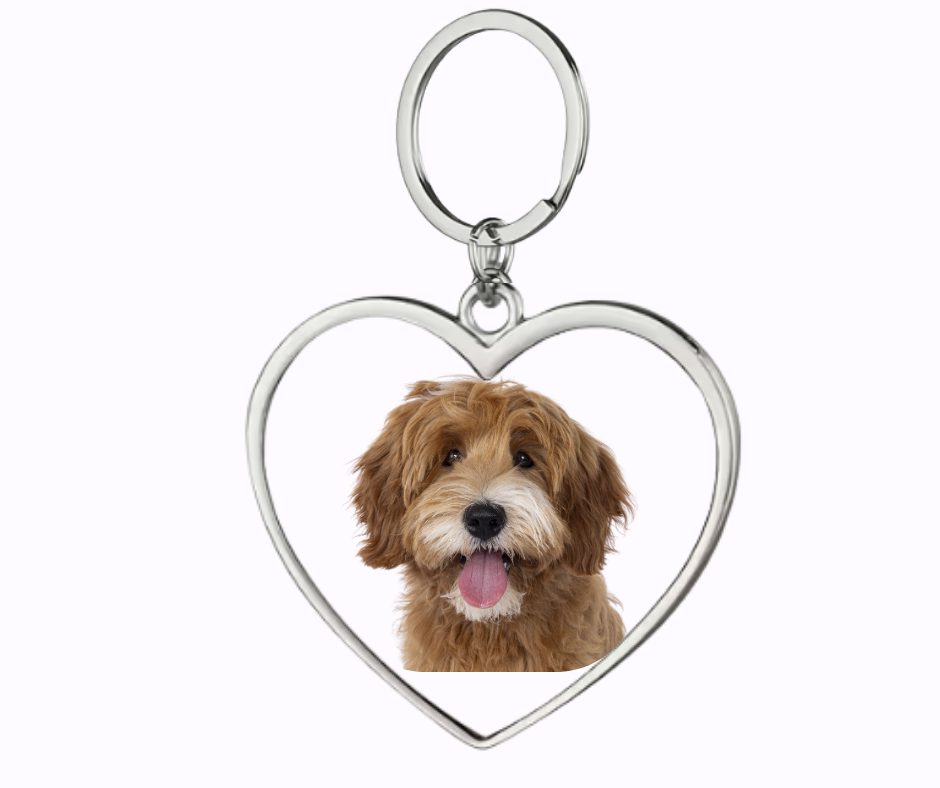 Stainless steel heart key ring
