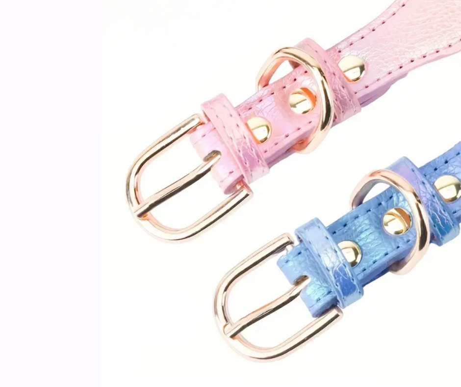 Collar Studs pink