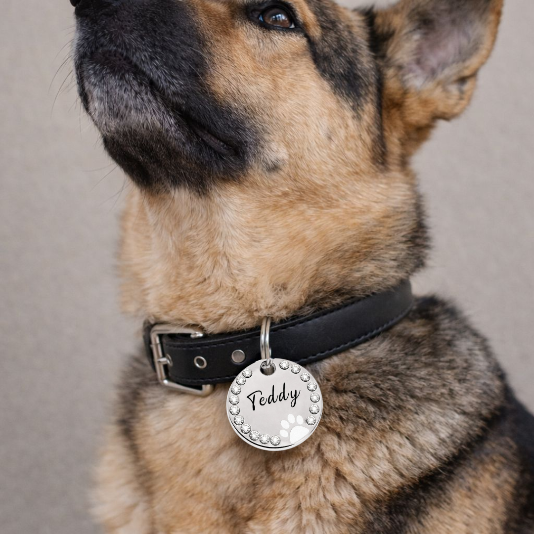 Hondenpenning rond met stras