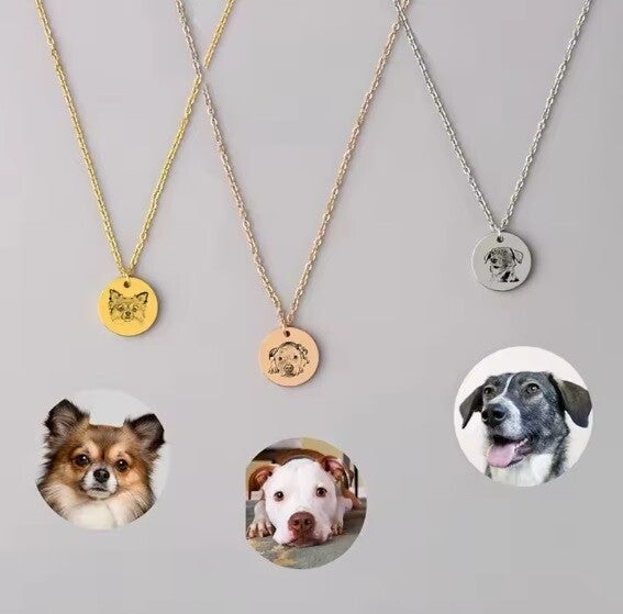 PetLove ketting