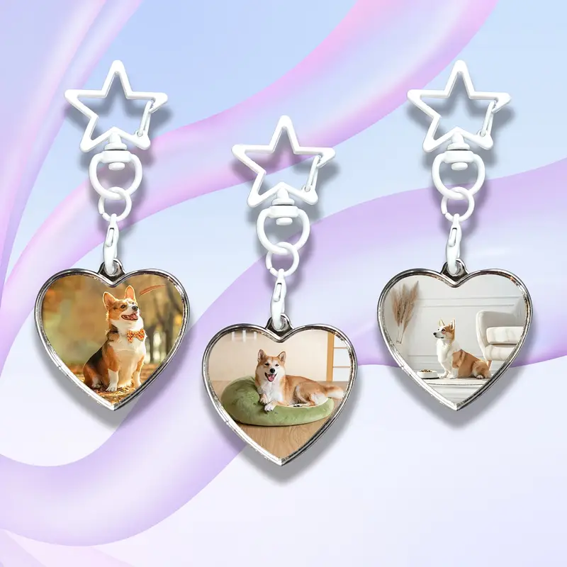 Stainless steel heart key ring