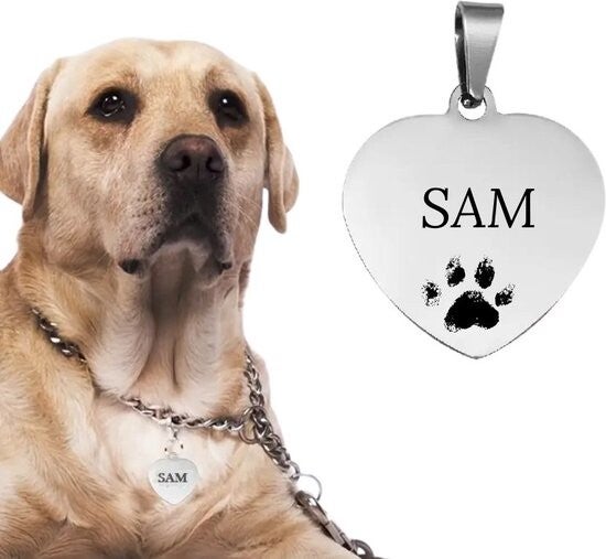 Dog tag Silver Love