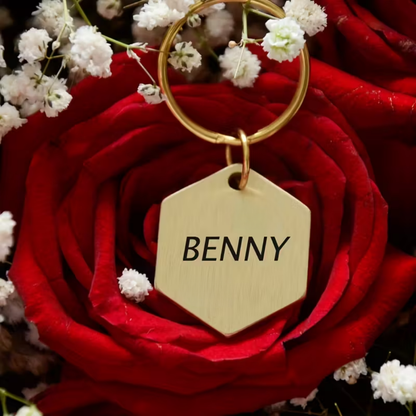 Hondenpenning zeshoek | goud