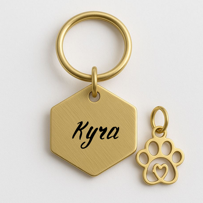 Hondenpenning zeshoek | goud