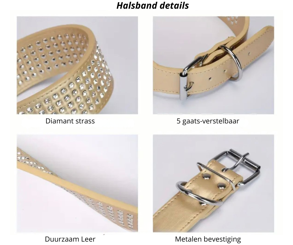 Diamond Halsband | Goud