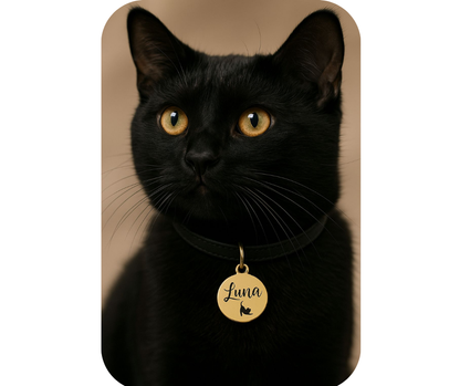 Ronde penning | Katten