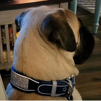 DIVA halsband reflecterend | Zwart