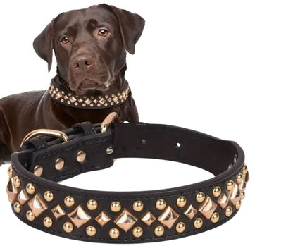 Collar Studs black