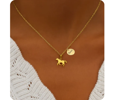 Paardensilhouet met naam | Ketting