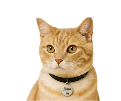 Ronde penning | Katten