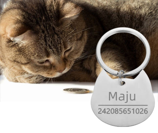 Stainless steel cat tag