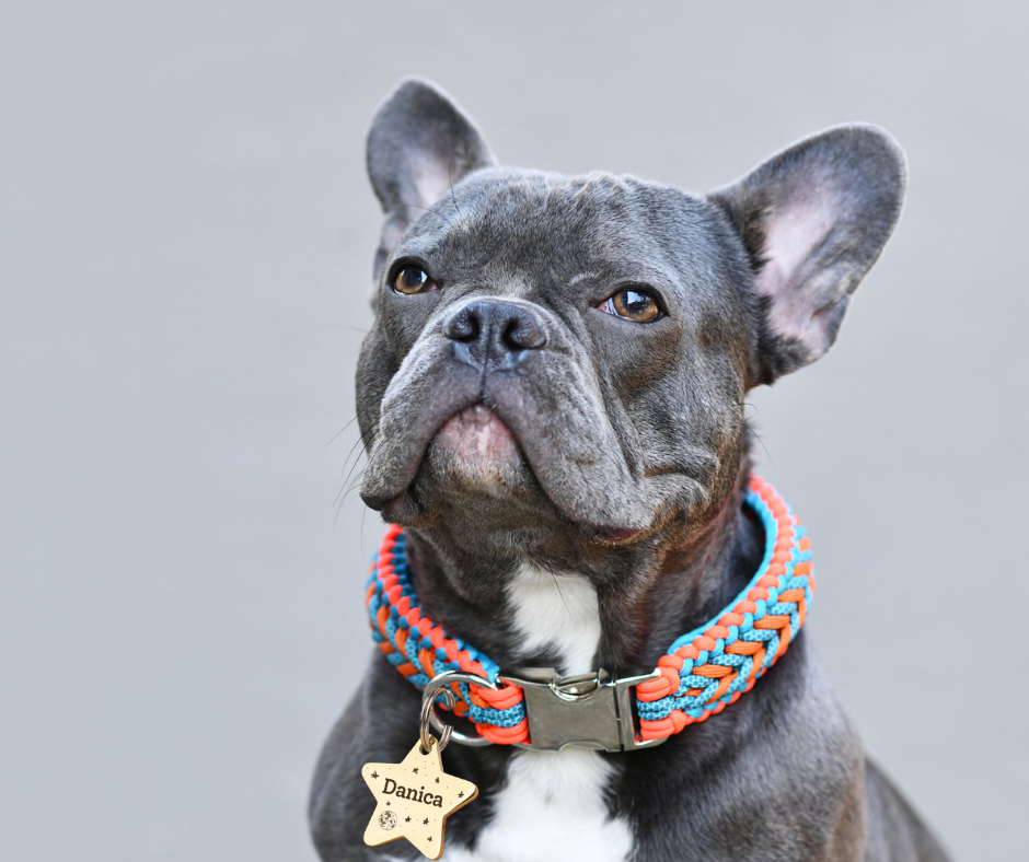 Dog Tag Star