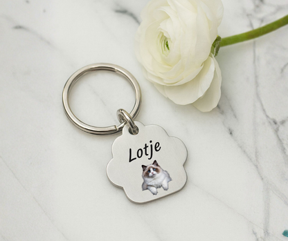 Penning met foto | Katten