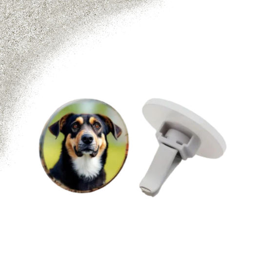 Autogeurtje met foto | Classic