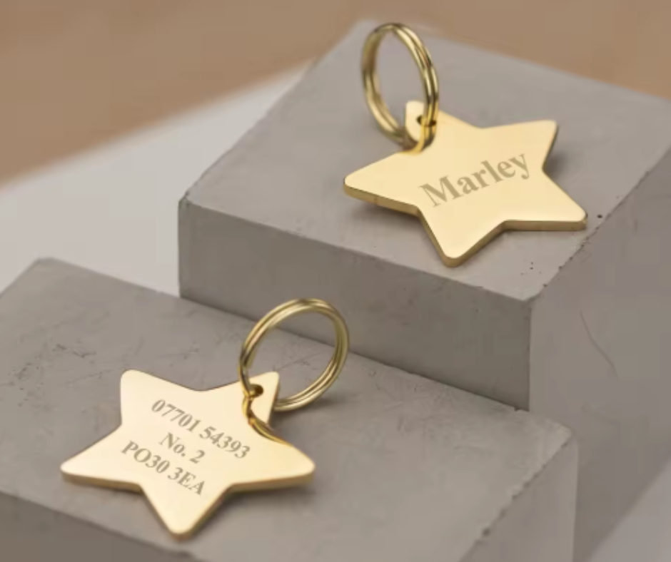 Dog Tag Star