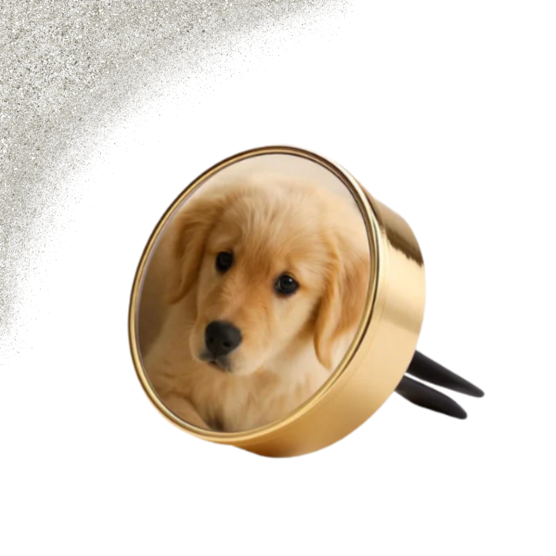 Autogeurtje met foto | Deluxe