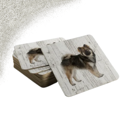 Coasters with photo