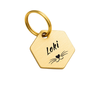 Zeshoek penning | Katten