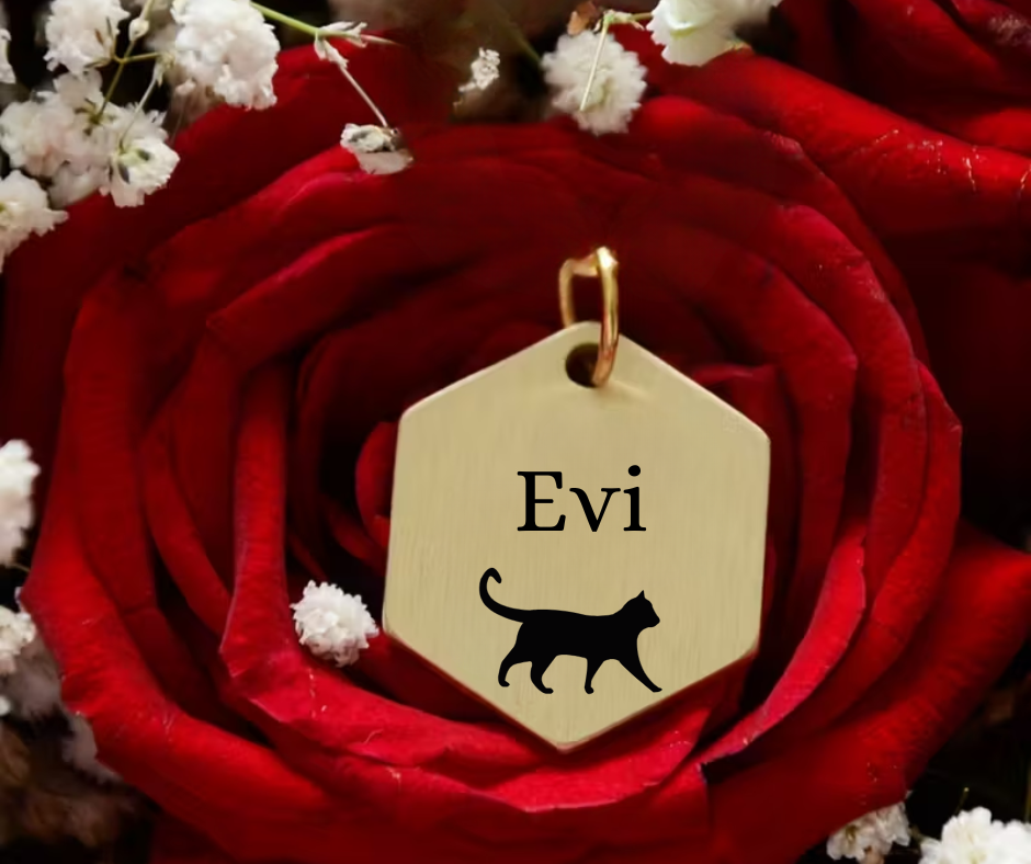 Zeshoek penning | Katten