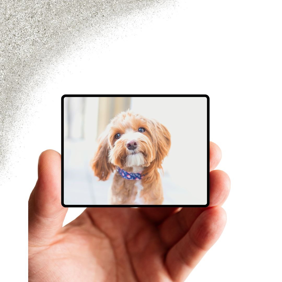 Foto koelkast magneten