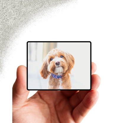 Foto koelkast magneten