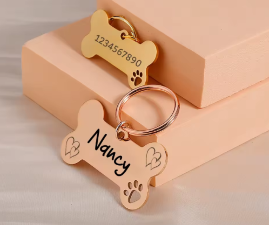 Luxury coin with dog paw