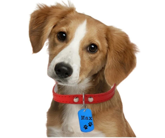 Colored Dogtag