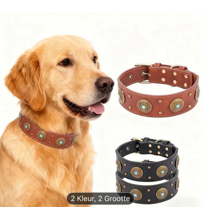 Halsband Royal Baron | Bruin