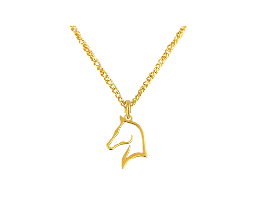 Paardenkop | Ketting
