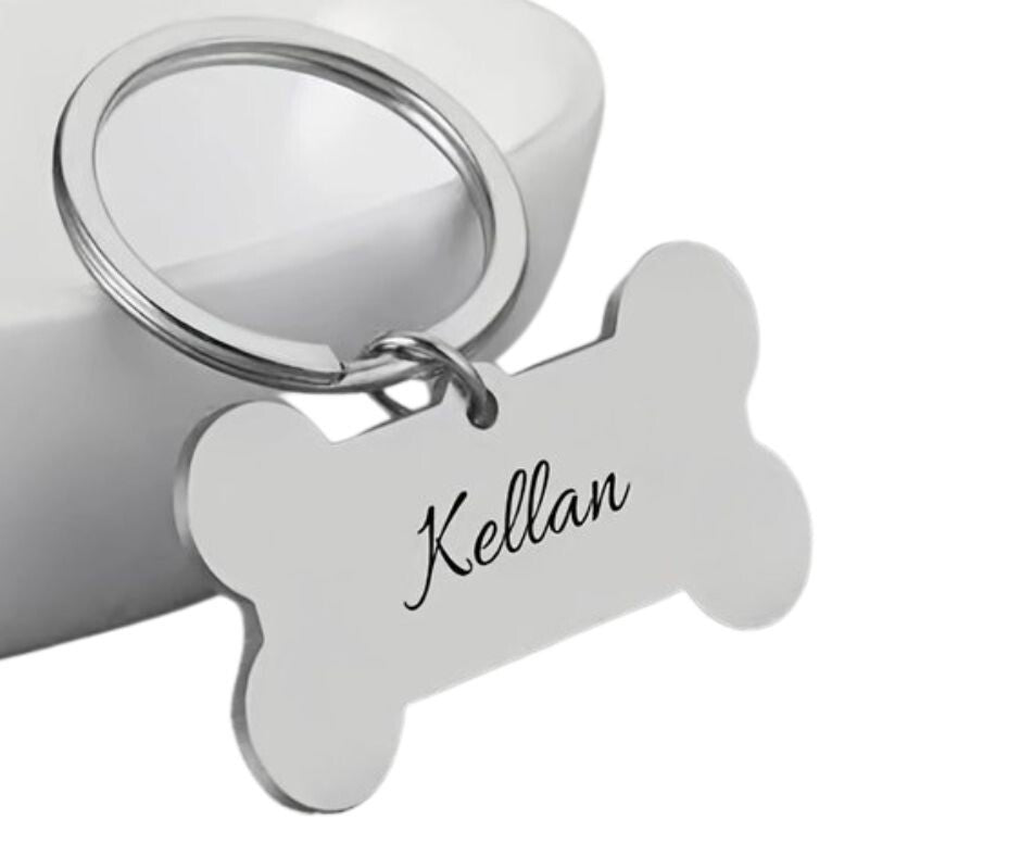 Dog Tag Stainless Steel Large