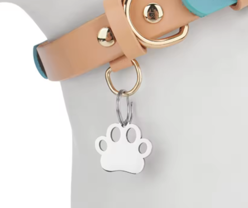 Dog Paw Coin