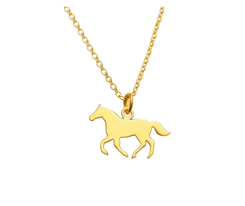 Paardensilhouet | Ketting