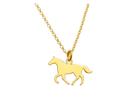 Paardensilhouet | Ketting