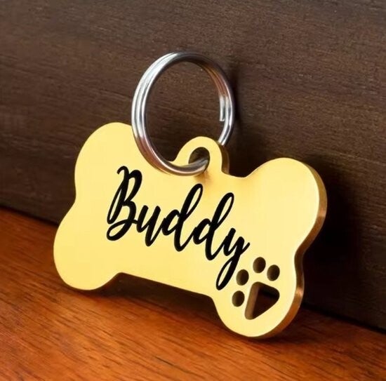 Luxury coin with dog paw