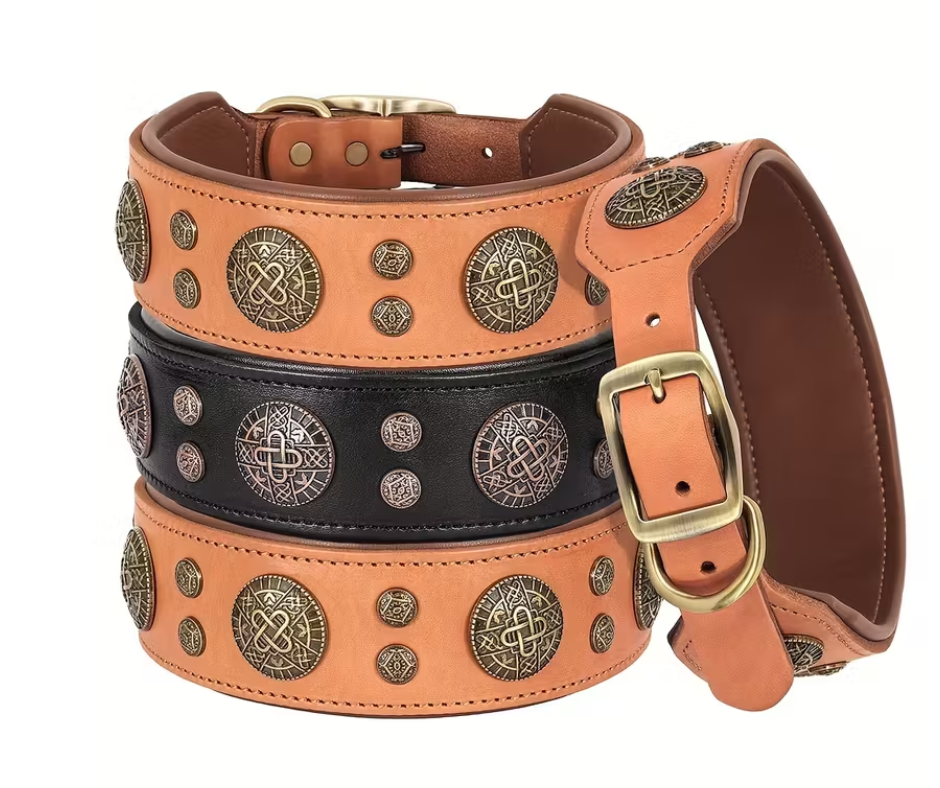 Titan Halsband | Bruin