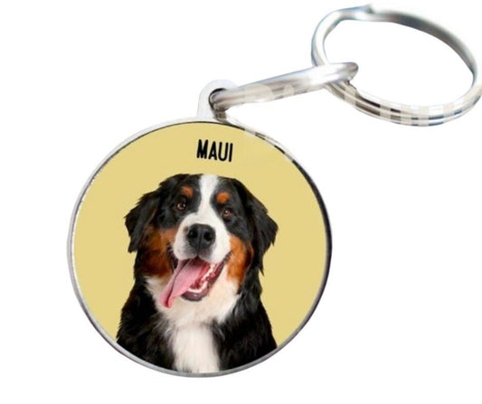 Keyring stainless steel round