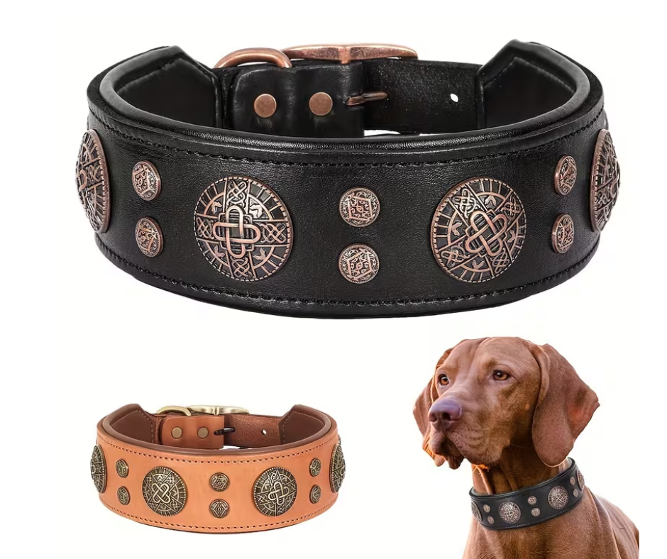 Titan Halsband | Bruin