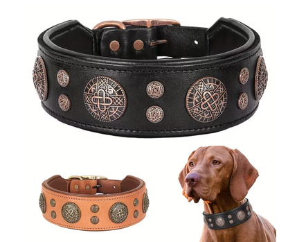 Titan Halsband | Bruin