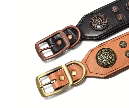 Titan Halsband | Bruin