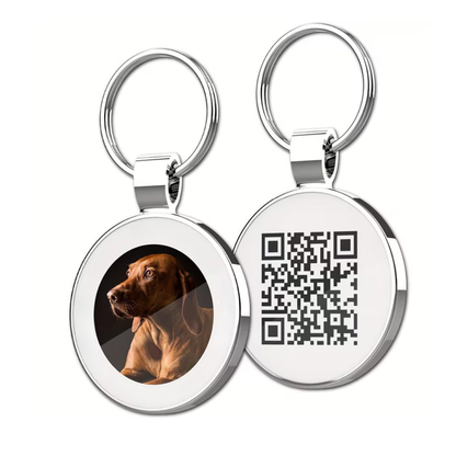 Hondenpenning | Foto en QR code Waterbestendig