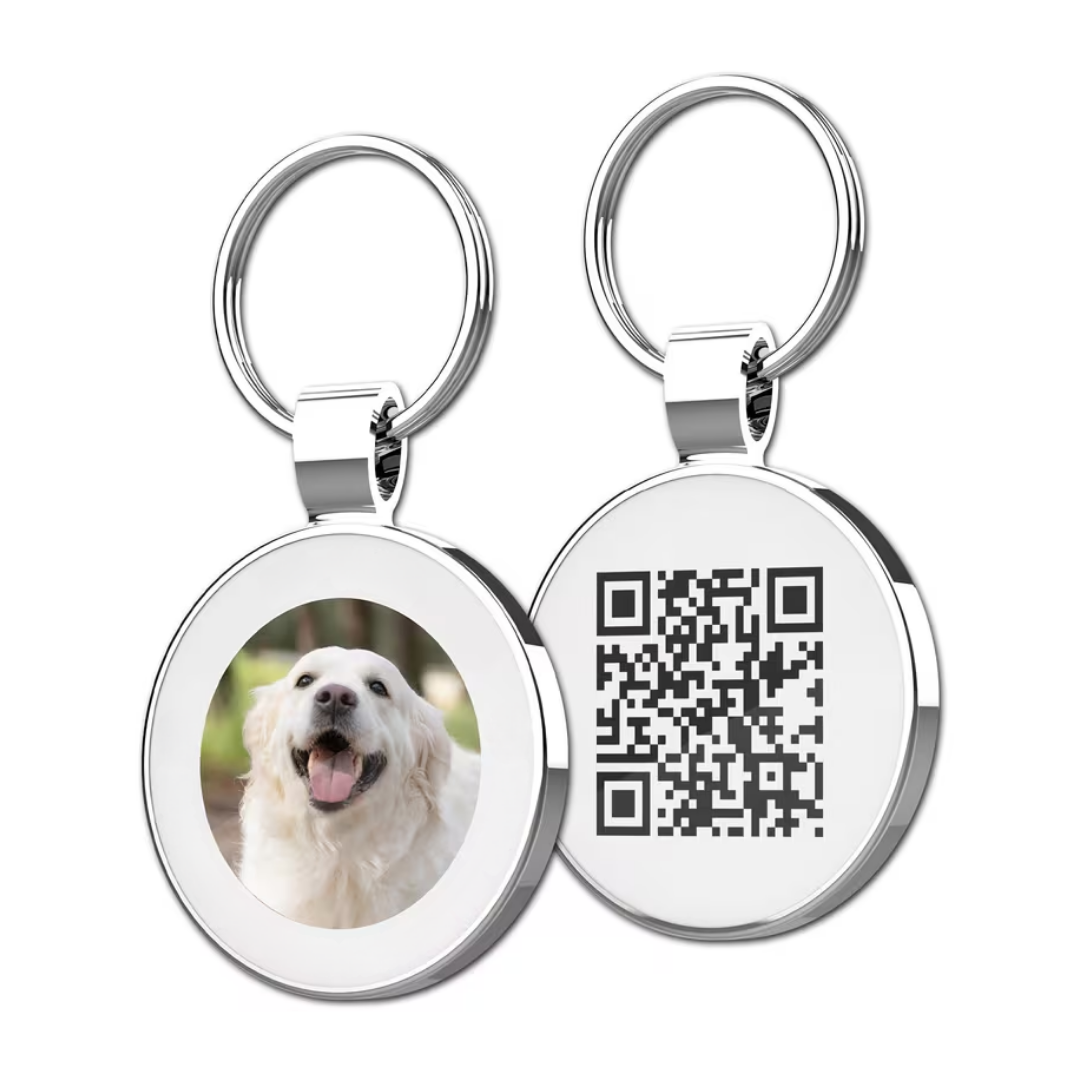 Hondenpenning | Foto en QR code Waterbestendig